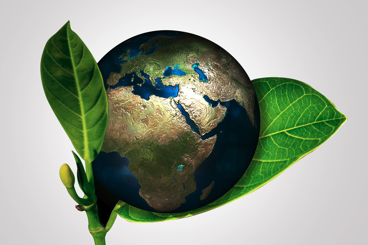 Sustentabilidade nas escolas: a importância do exemplo para a formação de cidadãos conscientes